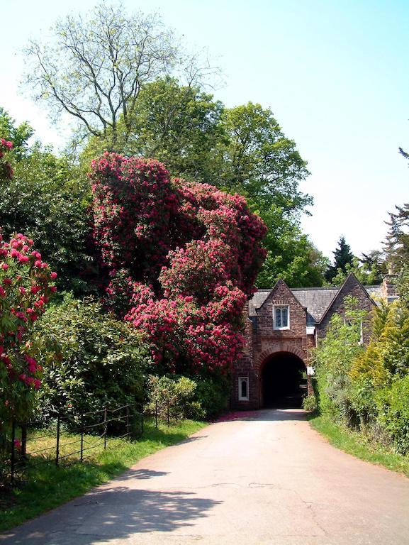 Готель Aveland House Babbacombe Торкі Екстер'єр фото